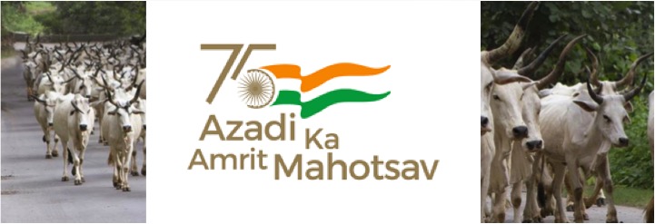 75 Facts about Indian dairy industry on Azadi ka amrit mahotsav - Dairy News 7X7