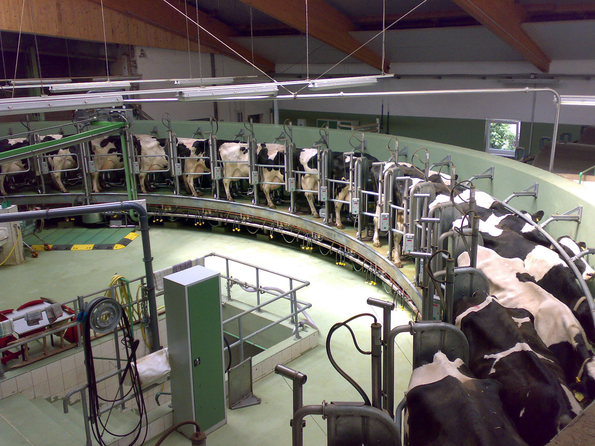 Top 10 Best Dairy Farming Companies In Europe 2023 - Dairy News 7X7