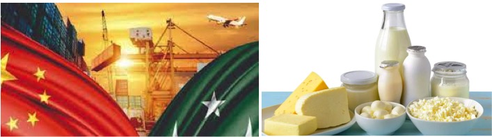 China to import milk, dairy products from Pakistan - Dairy News 7X7