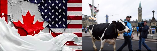 U.S. Prevails Over Canada in Dairy Dispute Under New Trade Deal - Dairy News 7X7