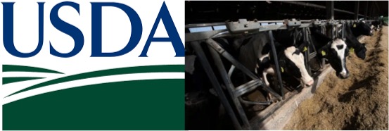 USDA Announces Milk Loss Assistance for Dairy Operations - Dairy News 7X7