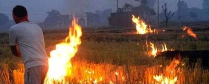 Addressing north India’s burning issue sustainably - Dairy News 7X7