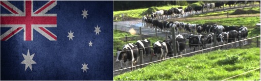 Australia’s Dairy Problems Persist due to drought, heat and labour issues - Dairy News 7X7