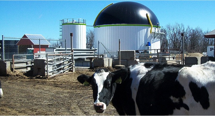 Local dairies lauded for greenhouse gas reductions - Dairy News 7X7