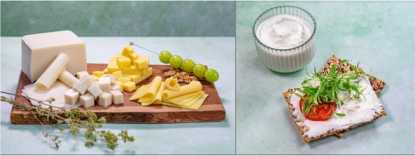 ChickP Protein Stars in Compelling Dairy Cheese Analog - Dairy News 7X7