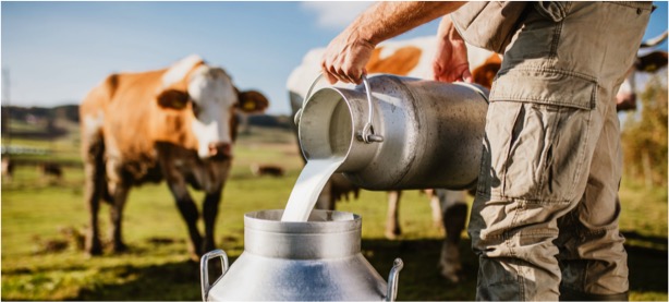 Plant-Based Milks Lack Naturally Occurring Nutrients - Dairy News 7X7