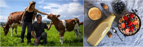 The meat and dairy farmers who are going vegan - Dairy News 7X7