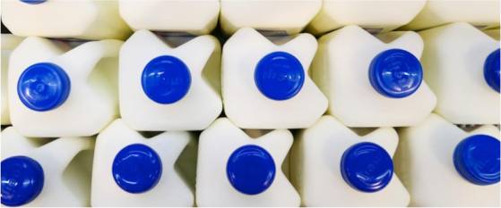 Despite price increases, dairy products continued to over perform in 2022 - Dairy News 7X7