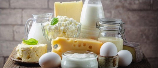 The Dutch are drinking less milk and eating more cheese - Dairy News 7X7