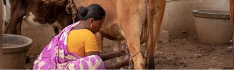 Fintech for Women’s Financial Inclusion – Indian Dairy Sector - Dairy News 7X7