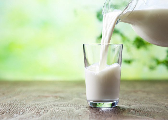 Drinking more dairy milk may improve brain health in older adults - Dairy News 7X7