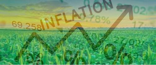 November saw moderation in inflation but not in all the states - Dairy News 7X7