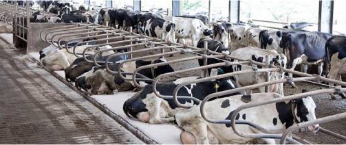 AMPE and MCVE updated to reflect further cost inflation - Dairy News 7X7