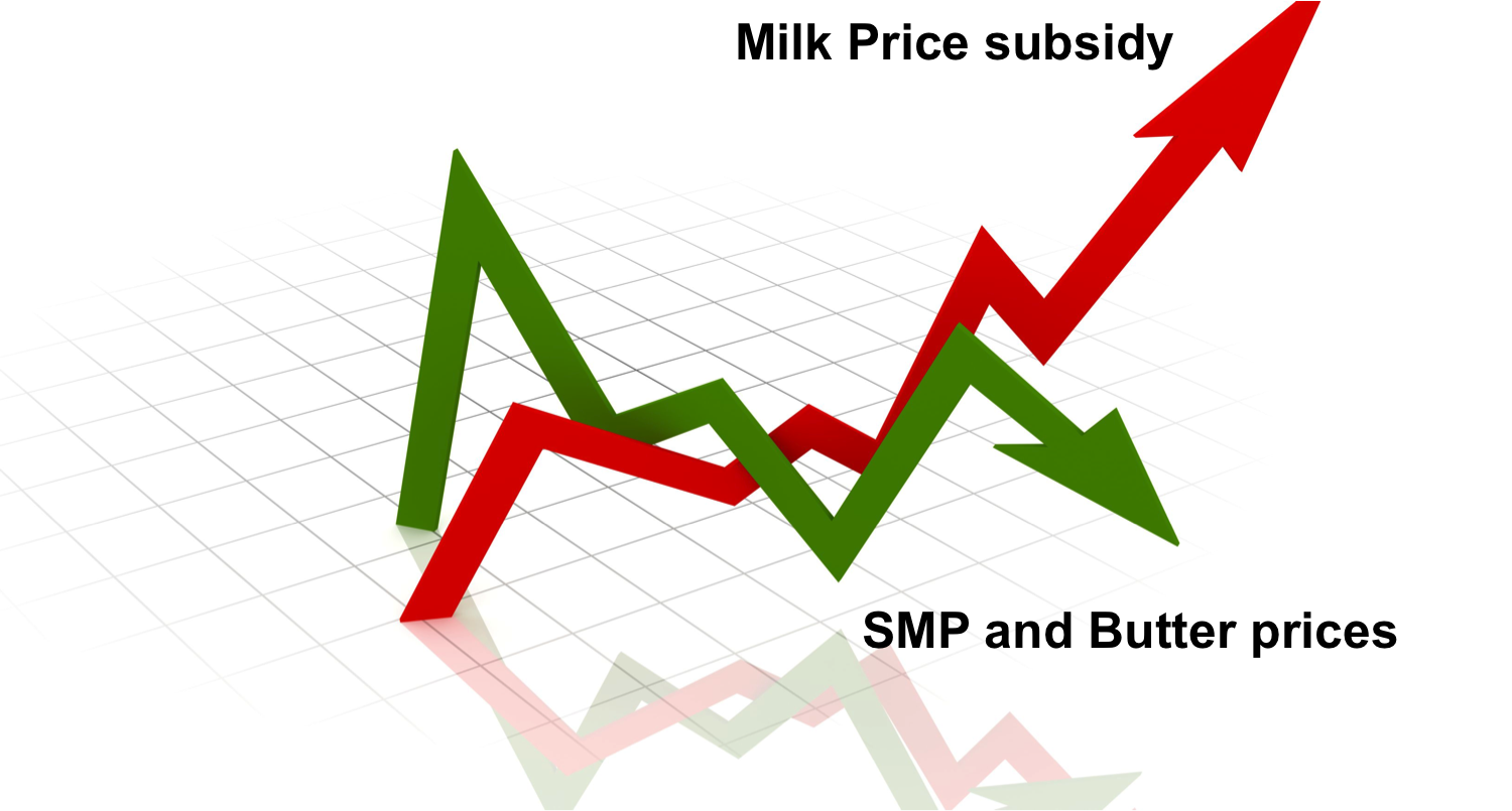 Milk price subsidy in India: Whose benefit ? - Dairy News 7X7
