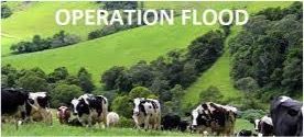 How ‘Operation Flood’ helped in the evolution of the dairy sector In India? - Dairy News 7X7