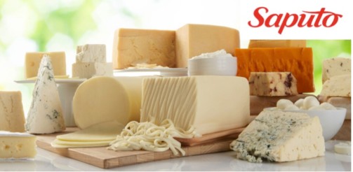Saputo prioritises value over volume to keep dairy “affordable” - Dairy News 7X7