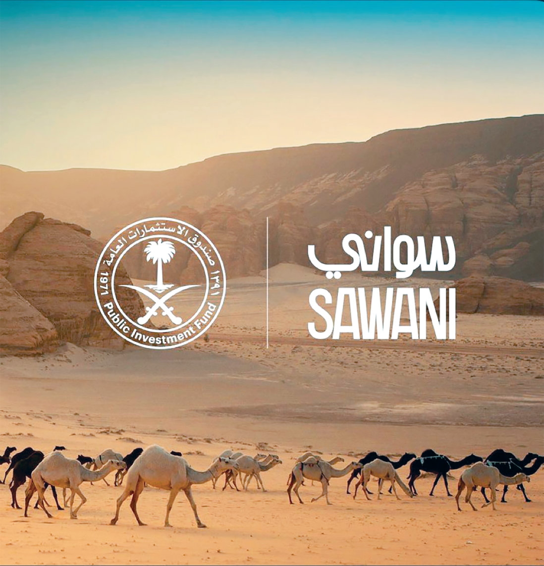 Camel milk set to provide sustenance for Saudi Arabia’s economic transformation - Dairy News 7X7