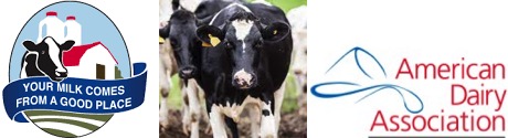 Dairy Industry Strives for Sustainability - Dairy News 7X7