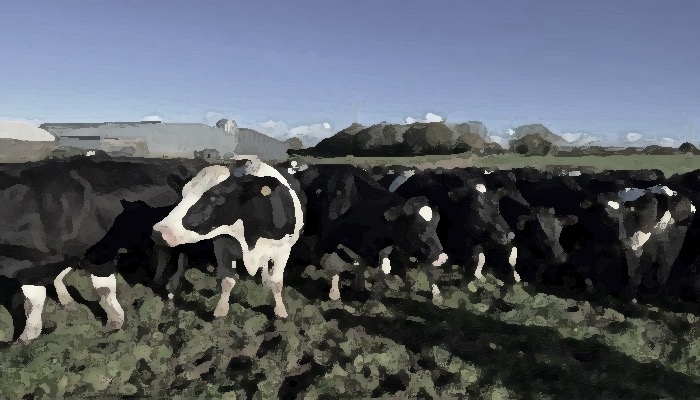Viewing labour as an asset not a cost - Dairy News 7X7