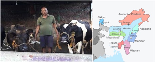 Dairy players looking towards Eastern India - Dairy News 7X7