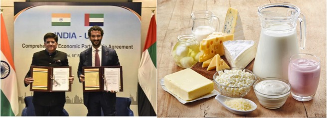 India-UAE CEPA: Sensitive dairy goods kept out of FTA - Dairy News 7X7