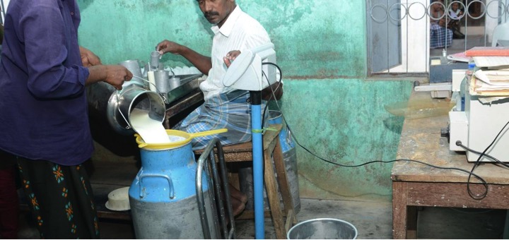 Tiruchi Aavin struggles to woo back milk suppliers - Dairy News 7X7