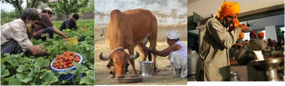 Agriculture must emulate dairy cooperative model of milk procurement - Dairy News 7X7