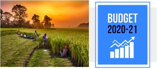 Can the next budget unleash a grass-root revolution in India? - Dairy News 7X7