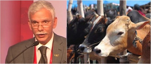 Govt to launch Rs 5000 Crores dairy entrepreneurship scheme - Dairy News 7X7