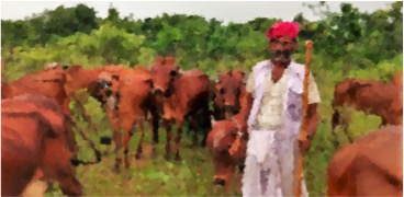 PM Modi lauds contribution of dairy farming in the Farmer’s Income - Dairy News 7X7