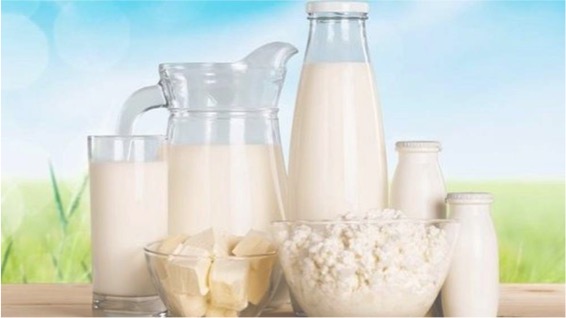 India announces freight subsidy for dairy product exports - Dairy News 7X7