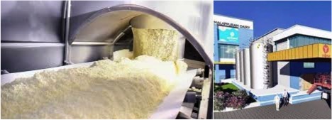 Milma to open Kerala state’s sole milk powdering unit - Dairy News 7X7