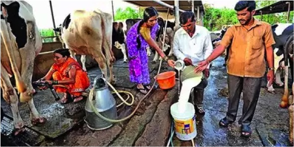Madhya Pradesh govt to give Rs 5 per liter as milk subsidy - Dairy News 7X7