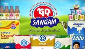 Andhra Pradesh: ACB unearths irregularities in Sangam Dairy - Dairy News 7X7