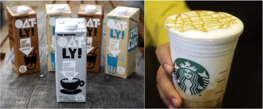 Starbucks India To Introduce Oat Milk As A Plant-Based Alternative - Dairy News 7X7