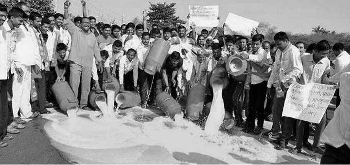 Dairy farmers in Maharashtra are demanding fair prices for their milk - Dairy News 7X7