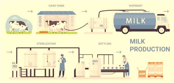 World Milk Day: producer companies pledge to boost milk output - Dairy News 7X7