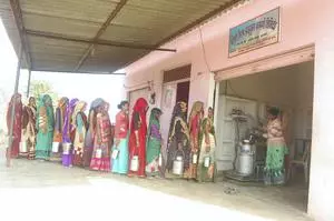 All-women milk business gives better living standard for rural families in UP - Dairy News 7X7