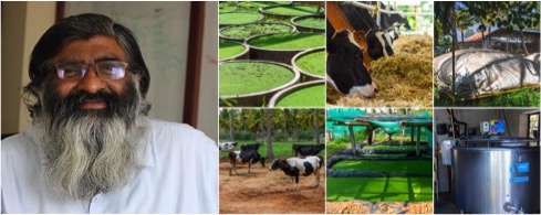 Akshayakalpa Organic to add 1,800 farms in 2022-23 fiscal - Dairy News 7X7