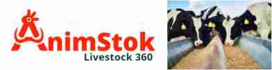AnimStok.com launch online trade services in animal science - Dairy News 7X7