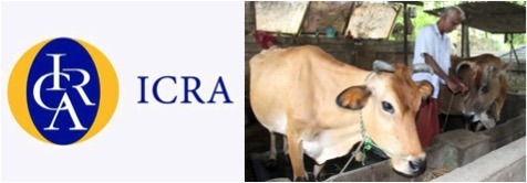 Rating agency ICRA says dairy industry reeling under high input cost - Dairy News 7X7