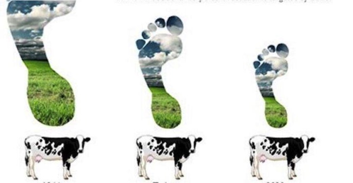 Dairy products export can reduce GHG emissions - Dairy News 7X7