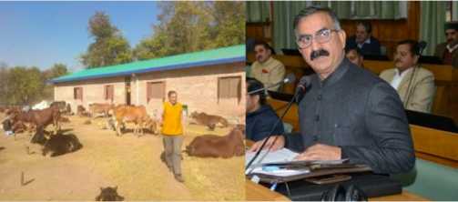 Himachal govt to launch Rs 500-crore Him Ganga scheme - Dairy News 7X7