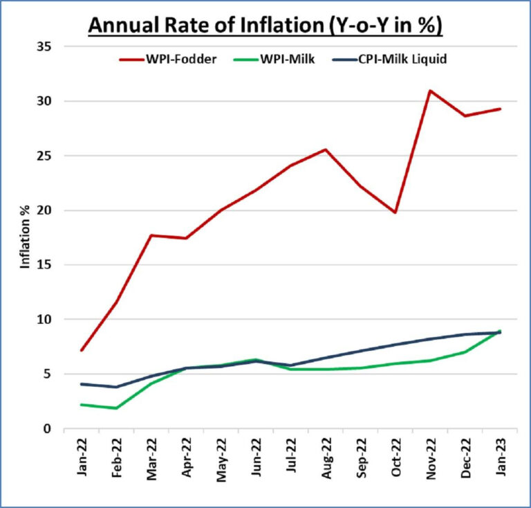At 29.30 per cent in January, fodder inflation continues to rise - Dairy News 7X7