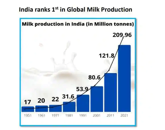 Incredible feat! India ranks 1st in global milk production - Dairy News 7X7