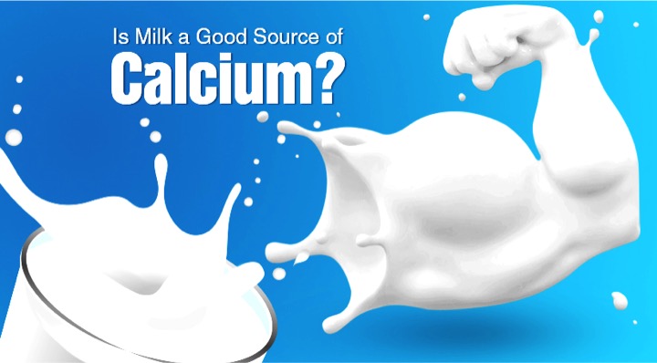 milk as asource of Calcium dairynews7x7