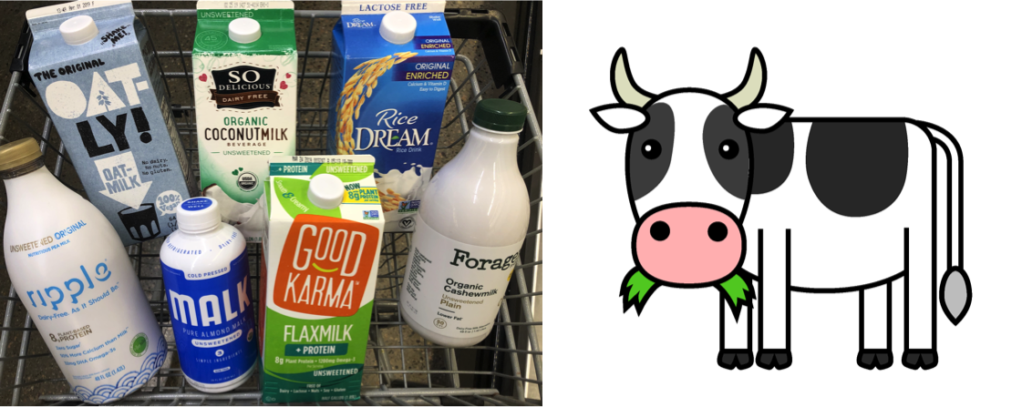 World Milk Day: Deciphering the benefits of plant-based milk - Dairy News 7X7