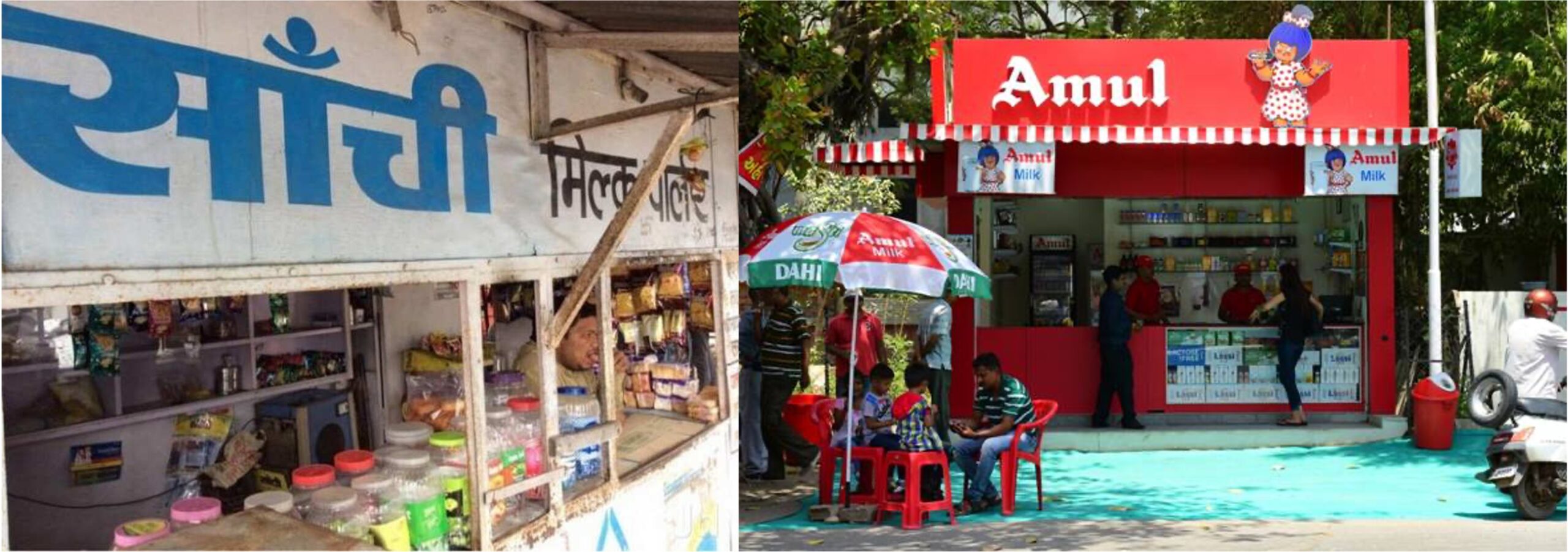 Madhya Pradesh govt in talks with Amul for selling the surplus milk - Dairy News 7X7