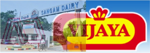 Sangam Dairy brought under AP Dairy Development Corporation - Dairy News 7X7