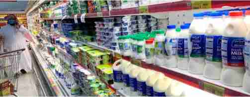 Saudi Arabia achieves self-sufficiency in dairy products - Dairy News 7X7